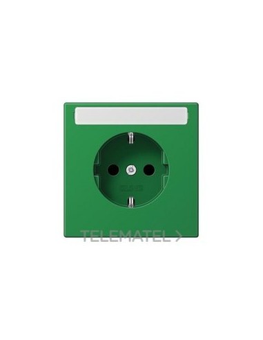 ENCH.SCHUKO® LS1520BFKINAGN INSC./PROT