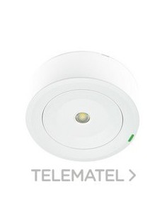 LUMERG.SPAZIO PLUS AUTT.100lm NP 2h AUTO