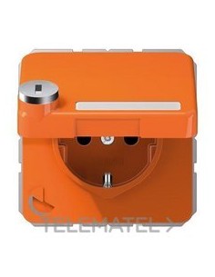 ENCH.TP.ATBL./RETROCESO MUE./REGL.INSC