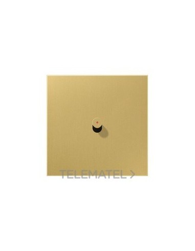 PL.CTRAL.1x1 PAL.LED CONO LS 1912 VISOR