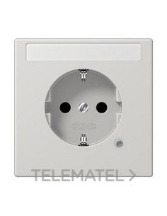 ENCHUFE SCHUKO® INSC./IND.FCMTO.LS GCL.