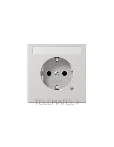 ENCHUFE SCHUKO® INSC./IND.FCMTO.LS GCL.