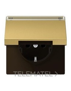 ENCHUFE TP.ATBL.RETROCESO LS LT.CLR.