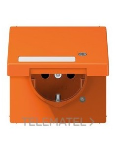 ENCHUFE TP.ATBL./REGL.INSC.LS NJ.