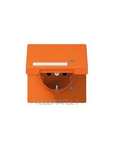 ENCHUFE TP.ATBL./REGL.INSC.LS NJ.