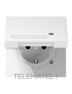 ENCHUFE TP.ATBL./REGL.INSC.LS BL ALP.