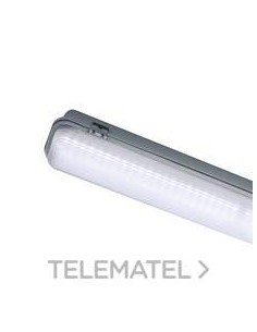 Estanca 19w 2580/840 L600 IP66  GR
