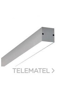 Perfil 38w 5600/830 L1130   GR