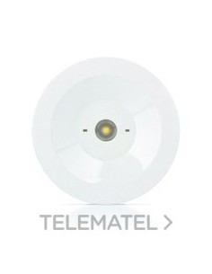 LUMERG.STD.50lm NP 1h AUTON.