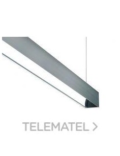 Perfil 38w 5600/830 L1130   GR