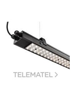 Perfil 113w 17115/830 30º L2008   BK