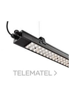 Perfil 113w 17115/830 90º L2008   BK