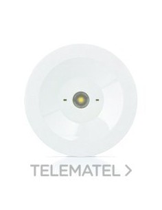 LUMERG.STD.300lm NP 1h AUTON.