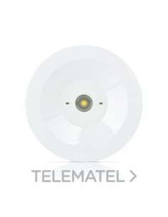 LUMERG.STD.150lm NP 1h AUTON.