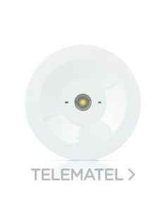 LUMERG.STD.100lm P/NP 1h AUTON.