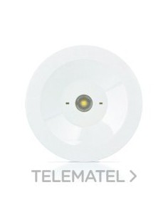 LUMERG.AUTT.WLSS 150lm P/NP 1h AUTON.