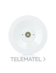 LUMERG.AUTT.100lm NP 1h AUTON.