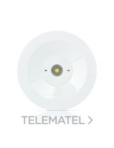 LUMERG.AUTT.100lm P/NP 1h AUTON.