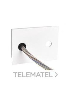 CAJA ACOMETIDA DALI BLANCO