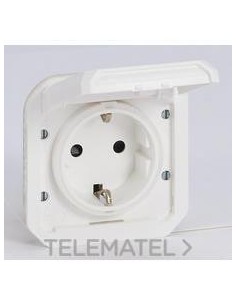 BA.CTE.MDR.PLEXO IP55,2P+T,EMBOR.TORN.BL