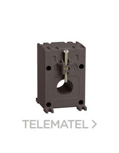 T.I. D21 16x12,5mm 250/5A