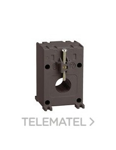 T.I. D21 16x12,5mm 125/5A