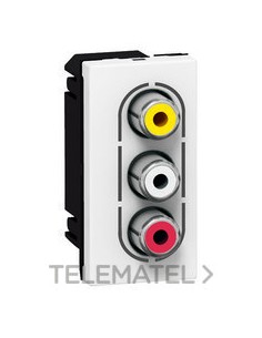 MO-BASE 3RCA 1M BL TORN