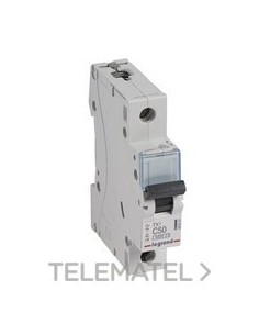 MAGNET TX3 6KA C 1P 50A