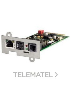 TARJ RED CS141SK (SLOT)