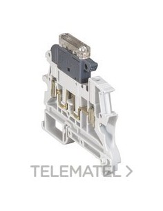 TESTIGO FUSIÓN 110/250V AC