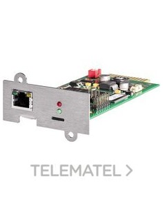 TARJ RED CS141BSK (SLOT)