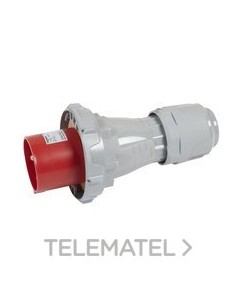 P17 CLAV 125A 3P+T 415V IP67