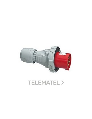 P17 CLAV 63A 3P+N+T 415V IP67