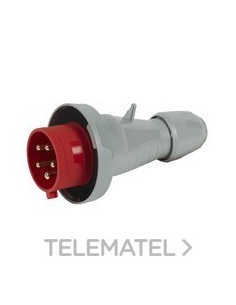 P17 CLAV 32A 3P+N+T 415V IP67