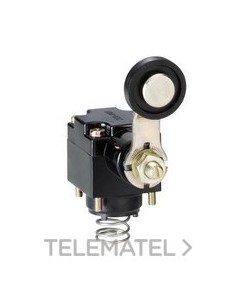 CBZA.GIR.LEVA ROLD.TPLAST.ACTUACIÓN DESD