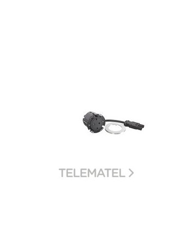 CAR.INALB.INCARA Disq60 1 T.RAS.2P+T EMP