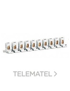 REGLETA DE PASO 2X10 MM2