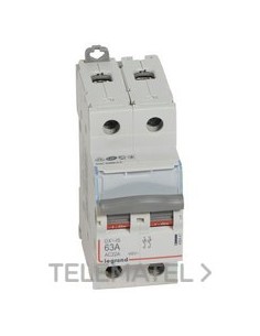 INTERRUPTOR DX3 IS 2P 63A