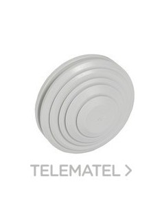 CONO REPUESTO CAJA PLEXO