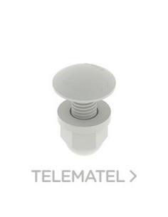 TORNILLO PVC-M1 U23X M8x22 DIN603