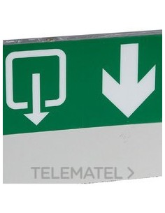 ETIQUETA SEÑAL.SALIDA HABITUAL