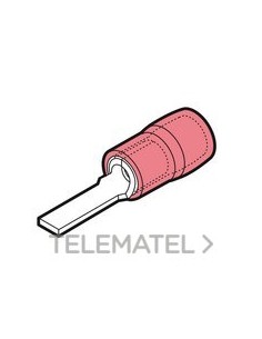 TERM.PUNT.PNA.PREAISL.RKY-PP12 SECCIÓN 0