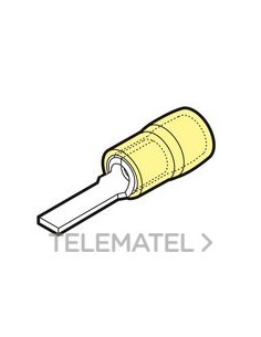 TERM.PUNT.PNA.PREAISL.GKY-PP12 SECCIÓN