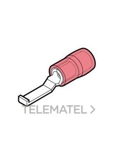 TERM.PUNT.PNA.PREAISL.RKY-PPL30 SECCIÓN