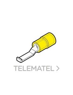 TERM.PUNT.PNA.PREAISL.GP-PPL46 SECCIÓN