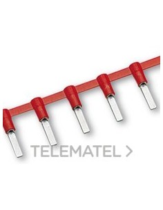 TERM.PUNT.PNA.PREAISL.CGP-PP12 SECCIÓN