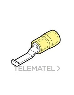 TERM.PUNT.PNA.PREAISL.GKY-PPL46 SECCIÓN