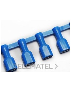 TERM.H PREAISL.CBP-F408P SECCIÓN 1,5-2