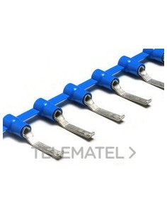 TERM.PUNT.PREAISL.PNA.CBP-PPL30 SECCIÓN