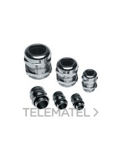 PRENSAESTOPA MAXIBRASS R.Pg21 CLLO.ESTR.